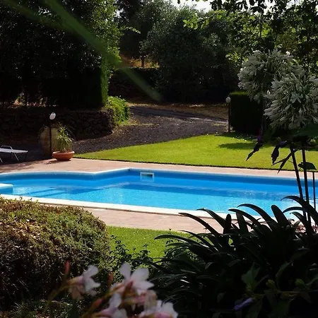 Bed And Breakfast Il Glicine Piedimonte Etneo Exterior photo