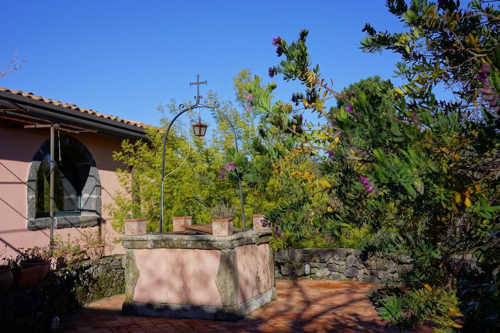 Bed & Breakfast Il Glicine Piedimonte Etneo