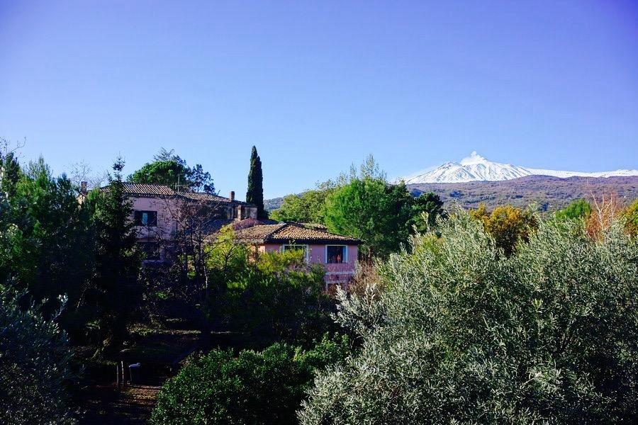 Il Glicine
